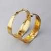 Trendy Frosted Circle Earrings - European & American Rock Nightclub Style