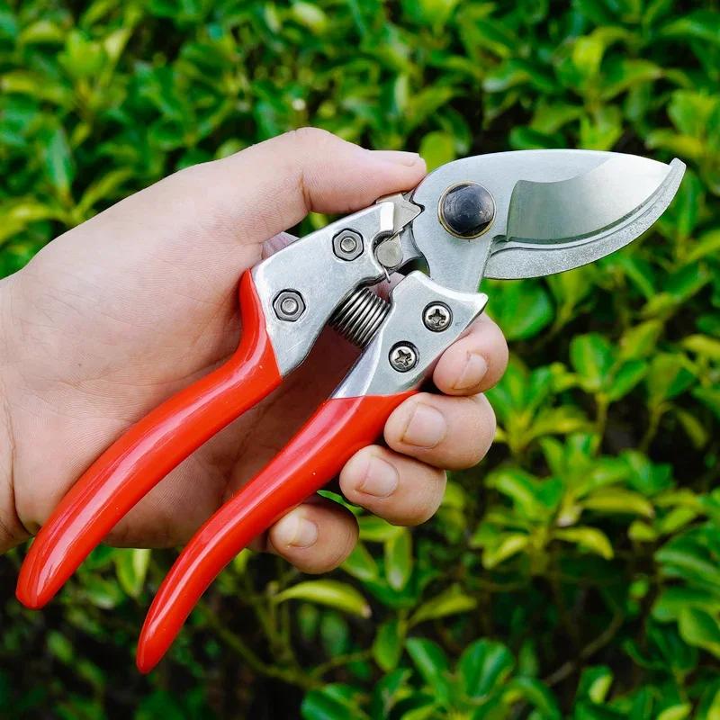 SK5 Stainless Steel Pruning Scissors Gardener Grafting Tool Floral Fruit Tree Branch Cutting Shears for Picking