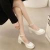 Fashion light luxury small leather shoes women's 2025 spring new retro versatile black light mouth thick heel non-slip Mary Jane shoes