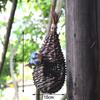Natural Grass Weaved Bird Nest Handwoven Straw Bird Cage Bird Hut for Yard Decoration Outdoor Garden Hanging Nest Bird Accessory