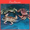 Marine Life Crab Replica For Kids Learning Aquarium Decoration Pvc Collectible