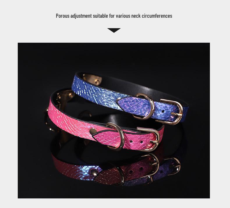 Gradient Snake Skin Leather Collar & Chain Leash - Unisex SM Erotic Toy for Training & Punishment