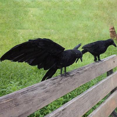 Halloween Dekoration Simulation Schwarze Krähe Rabe Vogelabwehr Schädlingsbekämpfung Taubenabwehr Gartendekoration Außen
