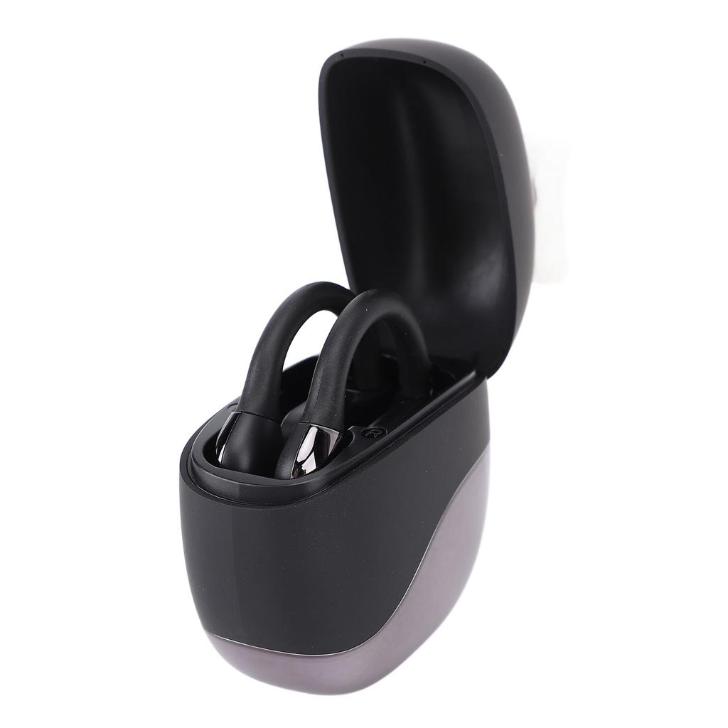 Translation Earbuds Earhook Active Noise Reduction Wireless   AI Language Translator Earbuds