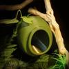 Reptilien – Reptilien-Terrarien