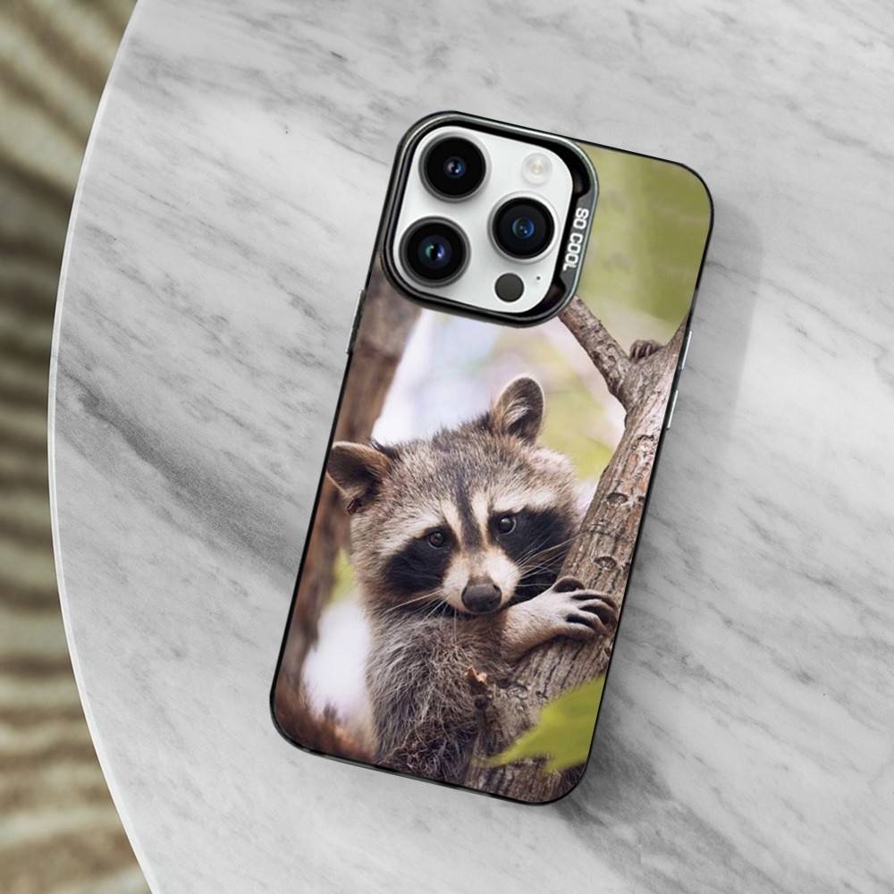Raccoon Cute Animal Phone Case For iPhone 11,12,13,16,14,15,Mini,Pro,XS,MAX Black Matte Shockproof Cover