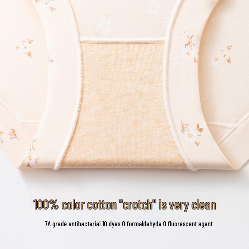 Ding Guagua Women's Cotton High-Waist Briefs (4-Pack)