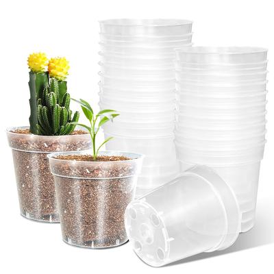 Stylish Transparent Seedling Size Set of for Succulents and Ornamental Plant Plastic Plastic Transparent Sowing Seedling Pot 20 Pot, 3, 20, Plants,