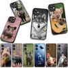 Schwein Wildschwein Wolf Handyhülle Case für Samsung Galaxy S25 S24 S22 S23 FE Ultra Plus A56 A05 A06 A15 A16 A55 S7 Edge Hülle