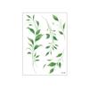 5 Vel Waterdichte Klimop Stickers Tattoo Stickers Elf Fee Make-up Stickers Nek Schouder Arm