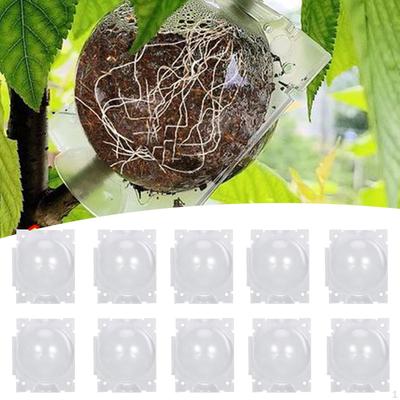 10Pcs Plant Rooting Grow Boxes Transparent Root Controller Practical Rooter Box Grafting Tool for