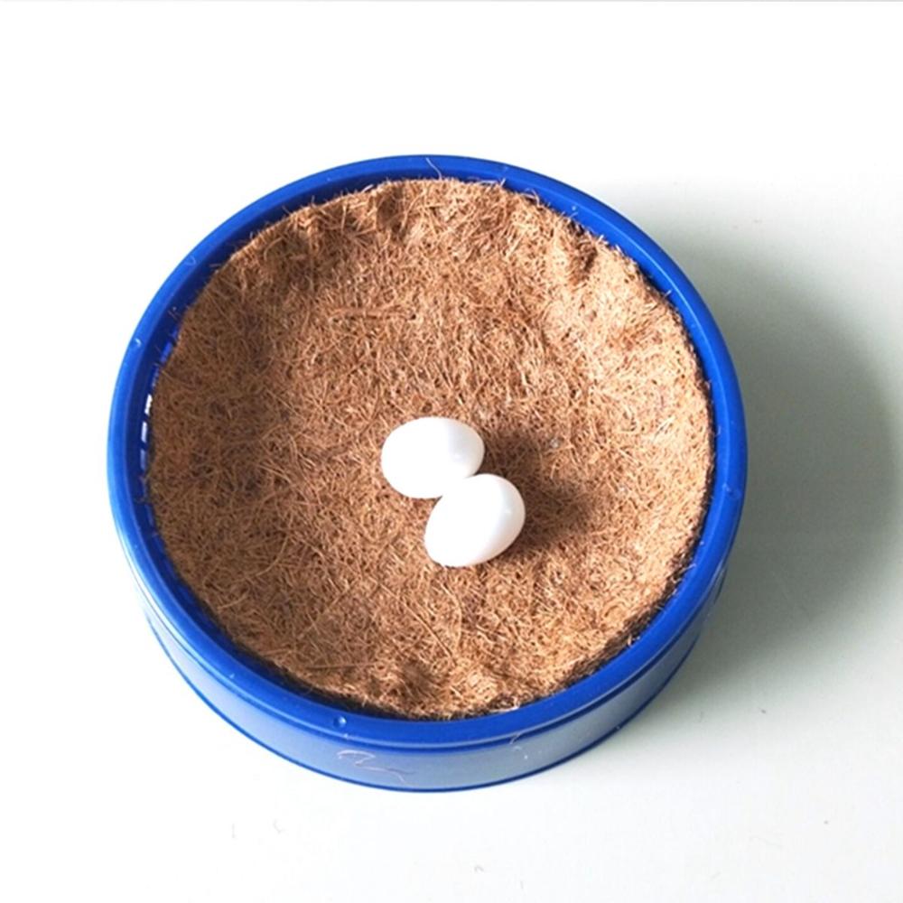 Doves Breeding Plastic Pigeon Accessories Nesting Bowls Bird Nest Hatching Box