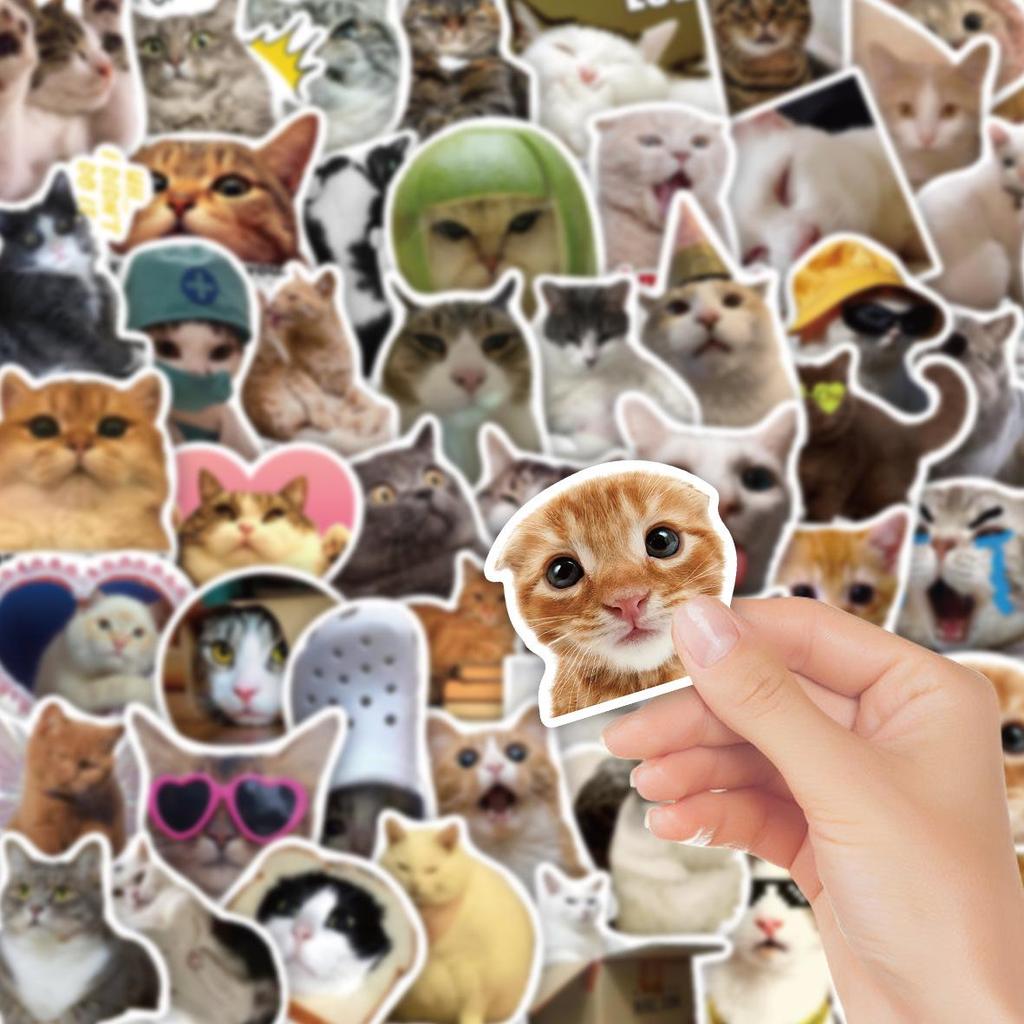 50-Pack Waterproof Internet Cat Meme Stickers for Notebook, Phone, Water Bottle