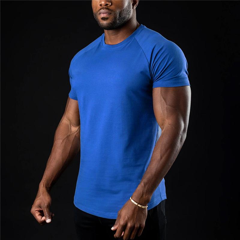 HerSight Effen Gym T-shirt Heren Zomer Fitnesskleding O-Hals Korte Mouw T-shirt Katoen Slim Fit T-shirt Bodybuilding Workout T-shirts Tops L blauw