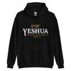 Yeshua Hebrew Name Jesus The Way Truth Life Christian Bible Hoodie