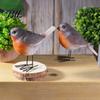 Decorative Garden Accents 2Pcs Outdoor Bird Ornaments, Realistic Pastoral Figurine, Resin Crafts for Desktop Weatherproof Lifelike Animal Sculpture