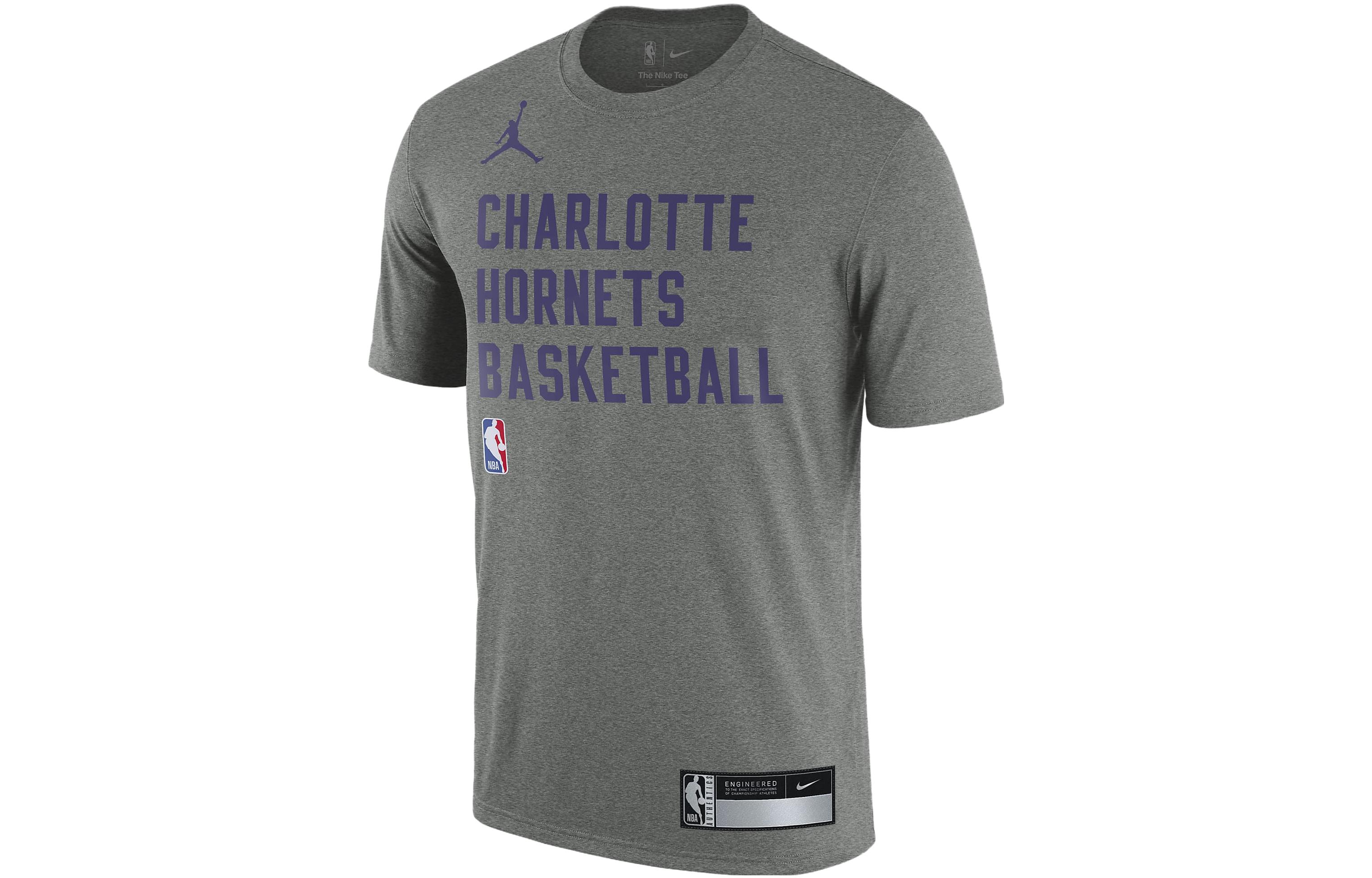 Мужская тренировочная футболка Jordan Dri-FIT NBA Charlotte Hornets Jordan FJ0171-063 L