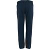 Брюки Regatta Mountain Winter Wanderhose (RMJ247) синий