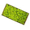 Preserved Moss Gardenning Art Wall Decor Moss Bulk Micro Landscape Decorative Props