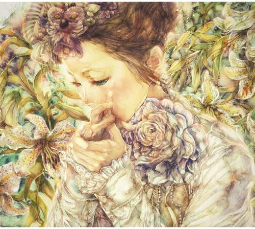 

CD AGLLIS - параллельная девушка Японская музыка Другое Б/У