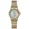 Oval Steel Belt Fashionable Exquisite High Sense Waterproof Quartz Watch, Versatile Student Watch High Value Watch Women
