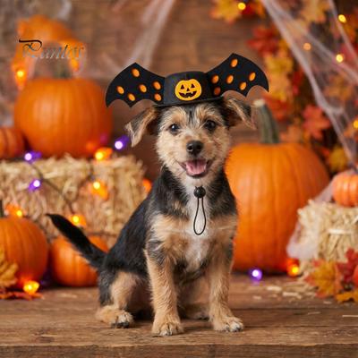 Funny Halloween Pet Hat Bat Hat, Red Horn Pumpkin Cat Costume Wings Felt for Cats Small And Medium Dogs Dog