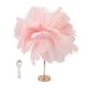 Feather Table Lamp 3 Color Dimmable Touch Switch USB Plug In Romantic Modern Decorative Bedside