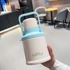 Stainless Steel Insulated Bottle with Portable Handle
