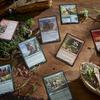 Magic: The Gathering Bloom Barlow Commander Deck Animation Army 100 Card Deck Collector Booster Sample Packs Accessories English Edition