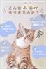 Units Sold In the Petiam Cat Harness and Lead for Lead Walking String Type (Over 20,000 Series) Cats, Non-Slip Set, Set, (Sunset, M)