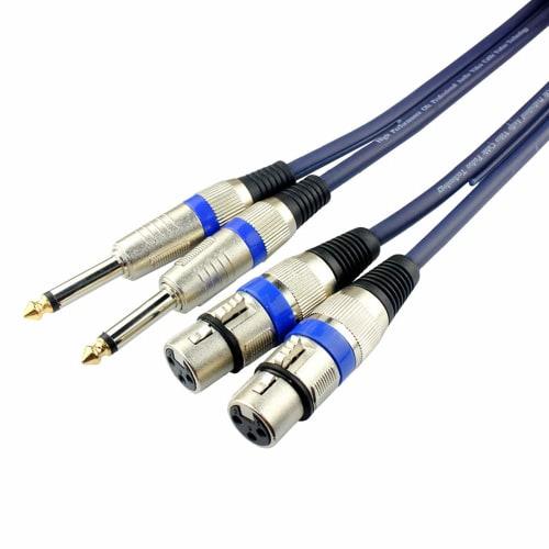 Canon Conversion Cable, Microphone Cable, 2 Mono Phones to 2 XLRs, XLR to Phone Male-Female (0.5m)