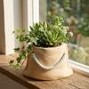 Mini Cactus Flowerpot Bag Shape Plant Pot Creative Green Onion Pots  Tabletop Decoration