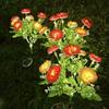 Solar LED Snow Lotus Simulation Flower Lawn Lamp Summer Garden Outdoor Wedding Holiday Home Patio Yard Decoration Party Lights
