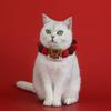 2026 Jahr des Pferdes Haustierhalsband Plüschball Katze Hund Halskette mit süßem Pferdeanhänger Weihnachts- & Chinesisches Neujahrsdekoration