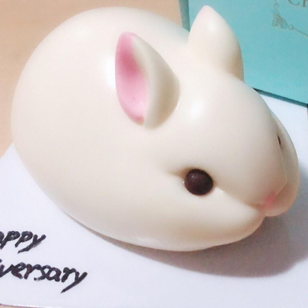 Non-Stick Surface Bunny Silicone Mold Easy Release 3D Bunny Mold  Chocolate Making