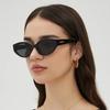 Vintage Cat Eye Women Sunglasses Vintage Small Frame Sun Glasses for Men Luxury Brand Design Outdoor Eyewear UV400