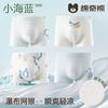 Children's Underwear Summer Thin Modal Developmental Male Big Boy Four Cornered Shorts
