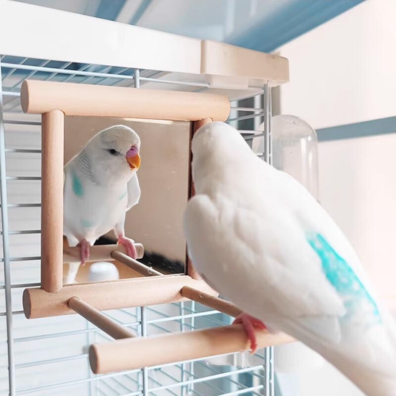 Parrot Mirror with Prickly Ash Wood Perch and Swing Toy