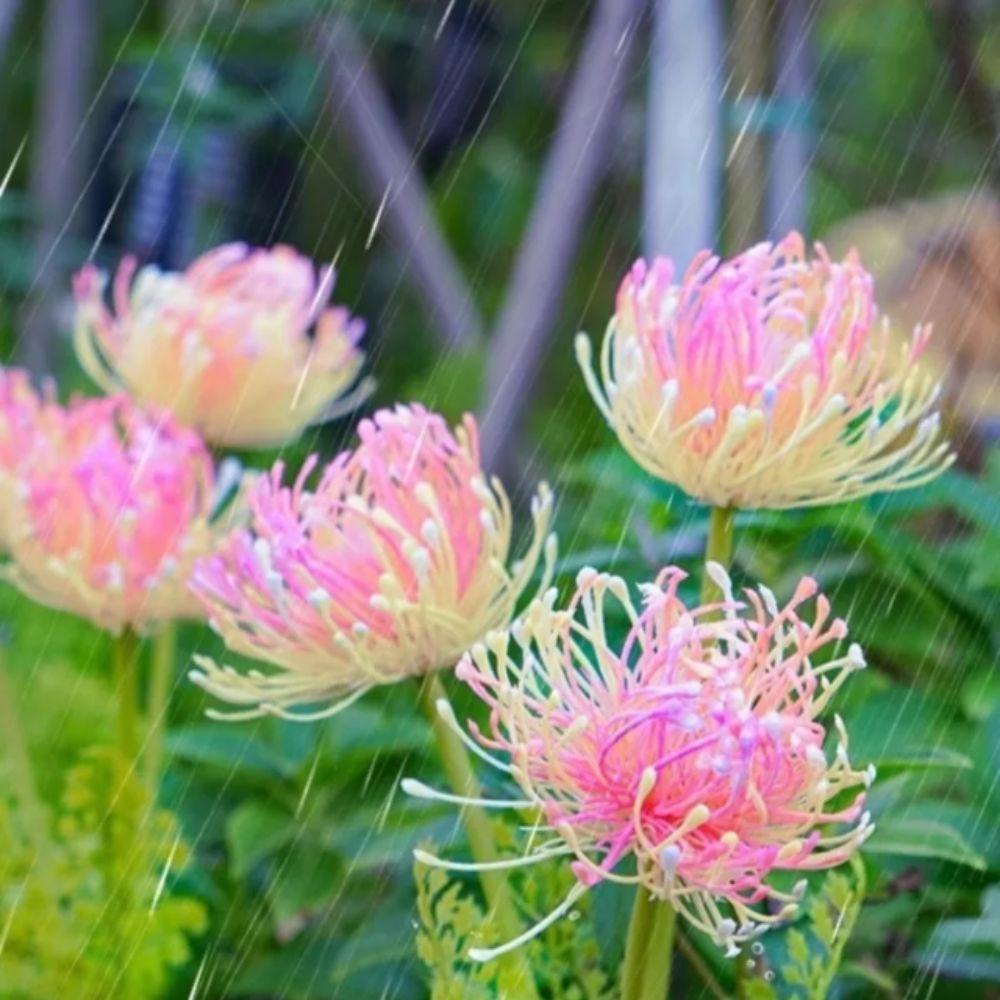 High Quality Solar LED Lights Realistic Flower LED Solar Lights Glowing Flowers Lights  Outdoor Use