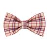 Light Pink Plaid Dog Collar and Leash - British Style, Engravable, Fresh Pattern.