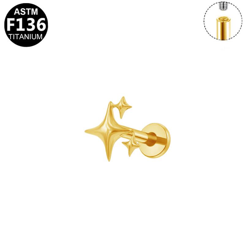G23 Titanium Legering Mode Piercing Sieraden: Oorbel met Interne Schroefdraad Paardenoog Zirkonia