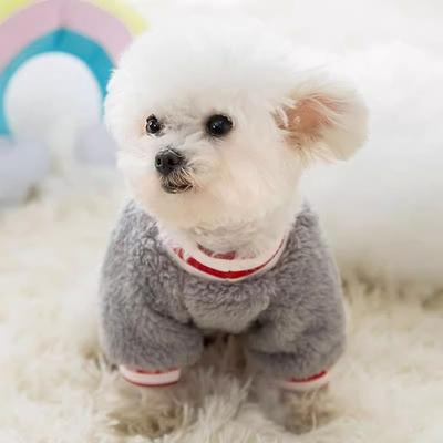 Flanell Hundekleidung Herbst und Winter Aufkleber bestickt Teddybär kleiner Hund zweibeinig Fleece Haustierkleidung