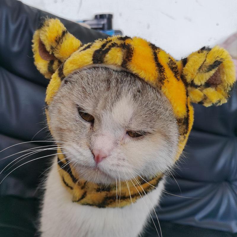 Universal Halloween Lion Costume Hat for Cats & Dogs – Adjustable Velcro, Cute Autumn/Winter Pet Accessory