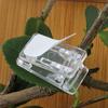 50Pcs Self-Adhesive Wall Clips Transparent Not Easily Deformed Compact Size Widely Used Binder Photo Hanging Clips