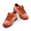 DV5429-601 Nike SB Dunk Low Mystic Red Rosewood Emerald Rise Rugged (Men's)