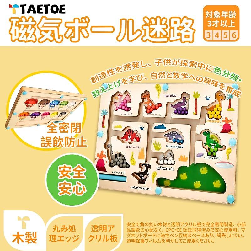 Montessori Magnetic Ball Maze, Educational Toy for Toddlers, Brain Training, Hand-Eye Coordination, Fibre Control, Color and Number Recognition,