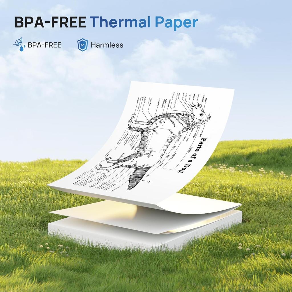 D820 Thermal Printer Paper 8.5 x 11 Inch, Continuous Folding Thermal Paper, US Letter Size printing paper Compatible with D820 Portable Printer, 100