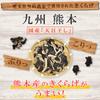 Hakuya Kumamoto Dried Wood Ear Mushrooms Sun-Dried Kikurage Gourmet Use Zip Bag 100g