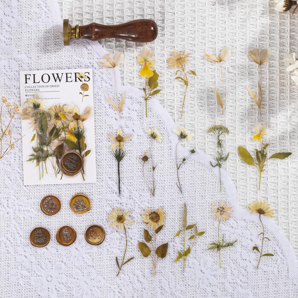 40 pièces/paquet Autocollants Spécimens de Feuilles de Fleurs Séchées Vintage Esthétique Créativité Décor Journal Chiffonné Scrapbooking Fournitures