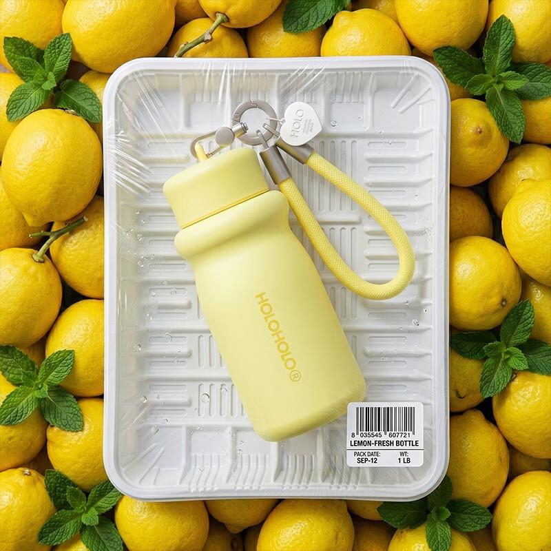 HOLOHOLO Portable Mini Insulated Mug